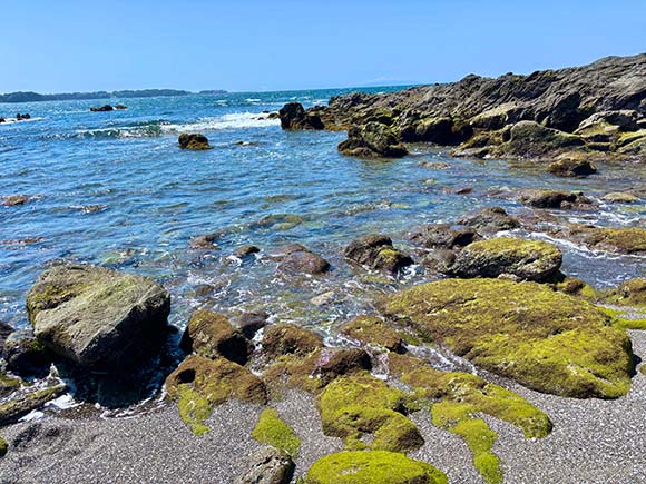 苔むした岩場がある海岸