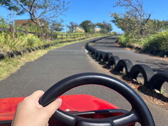 ゴーカート運転席からの眺め