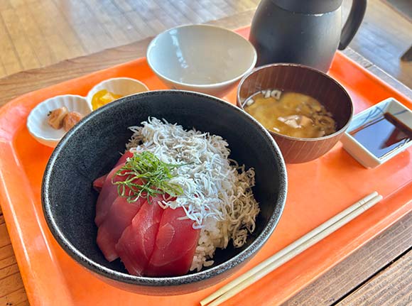 テーブルに並ぶお料理