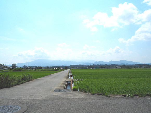 真っ直ぐ伸びる道と広い田んぼ