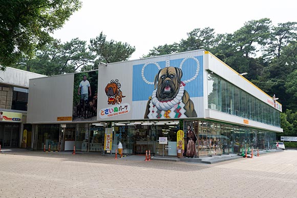 土佐犬と触れ合い 芋けんぴタワーでびっくりする高知市のおすすめデートコース 免許と一緒に タイムズクラブ