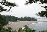 展望台から見た桂浜の景色