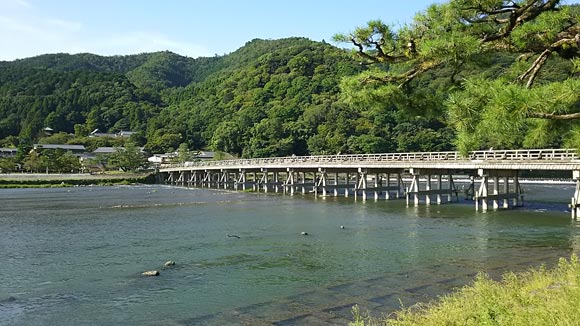 緑豊かな山々が見える渡月橋