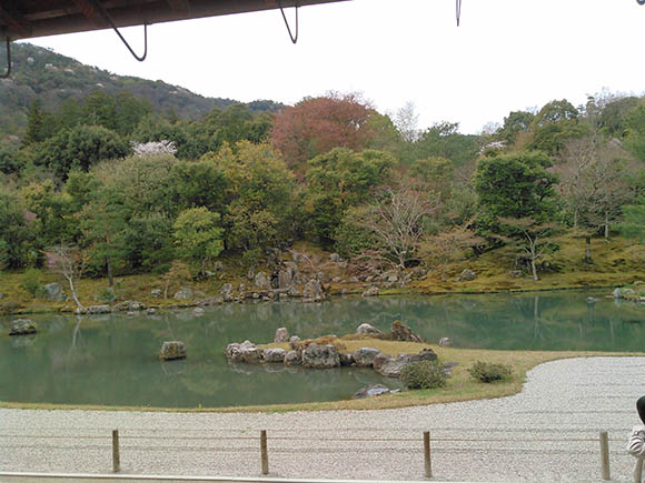 静かな水面を囲む木々