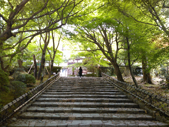 平たい石階段の両脇に竹垣