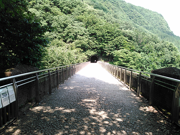 緑が豊かで眺めの良い道