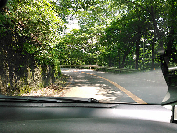 緑に囲まれた道