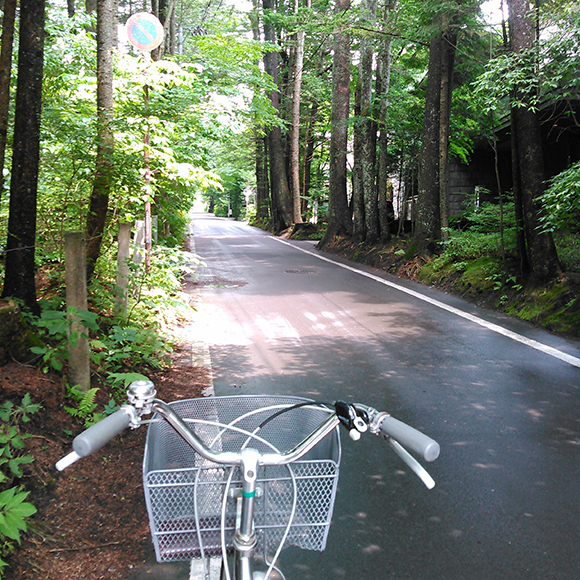 自転車と緑道