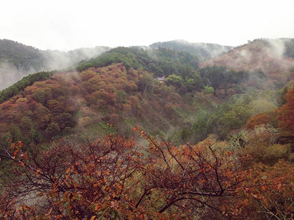 一部が紅葉している山