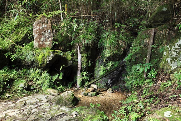 水が湧き出ている場所