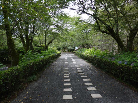 緑豊かな公園の歩道