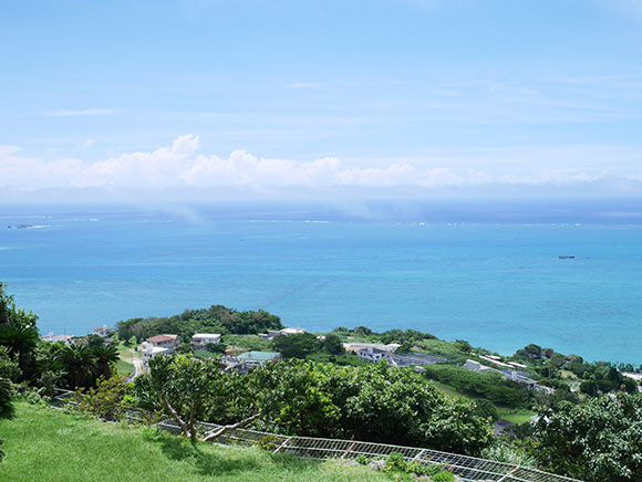 緑豊かな大地と奥には美しい海