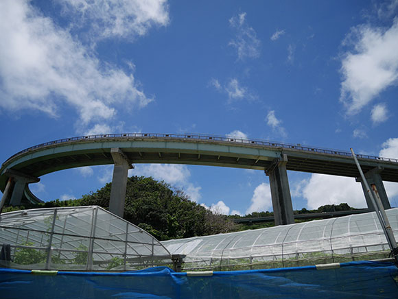 下からみたニライカナイ橋