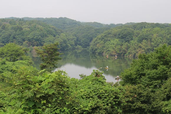 鬱蒼とした森に囲まれた宮沢湖