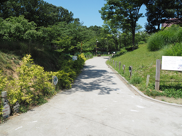 緑の丘に挟まれた道