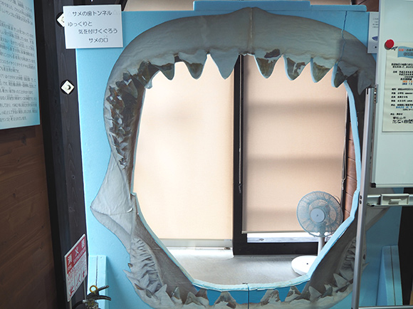 サメの歯トンネル