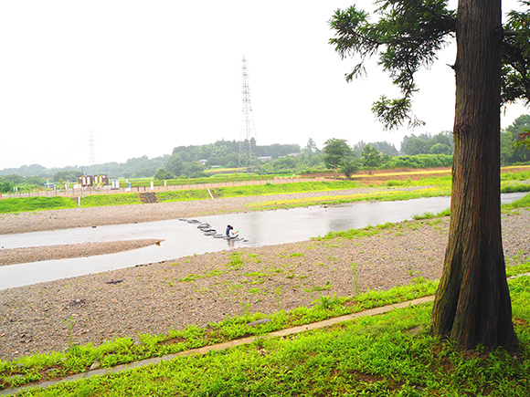 飛び石が並ぶ川