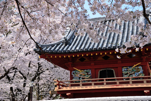 桜の頃の鐘楼門