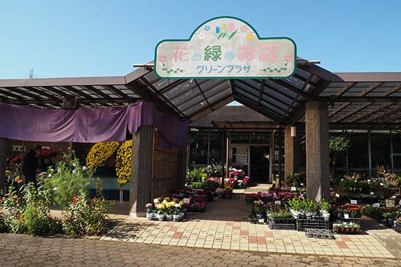 植物が展示された売店外観