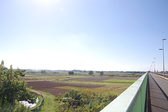 橋の下に広がる田園風景