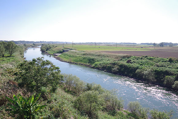 緑に囲まれた細い川