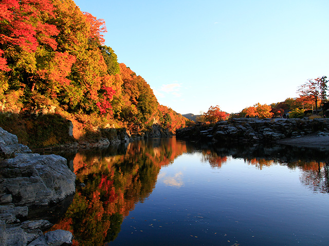 水面に反映された紅葉