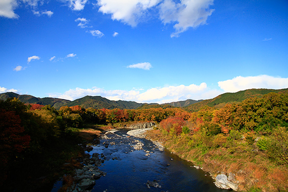 高い位置からみた紅葉と小川