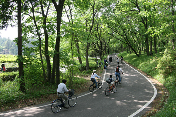 レンタサイクルでサイクリング