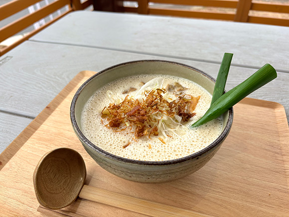 ねぎがはみ出たうどん