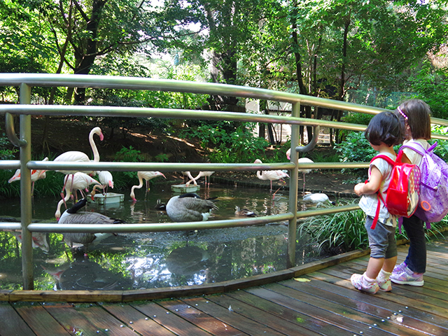 無料でも一日中楽しめる 子連れで大宮公園へ行ってみよう 免許と一緒に タイムズクラブ