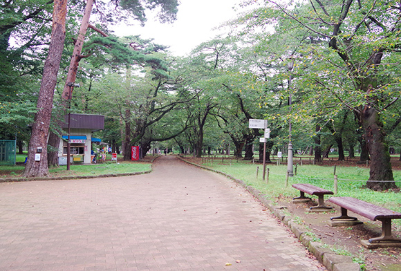 大宮公園内観