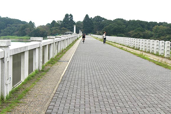 視界が開けて気持ちのいい場所です