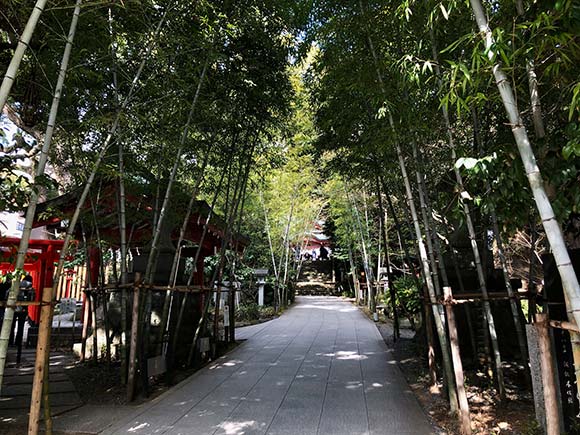竹林の参道