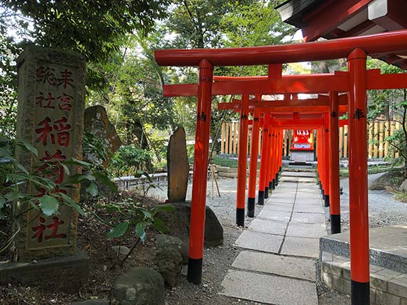 たくさん並ぶ赤い鳥居