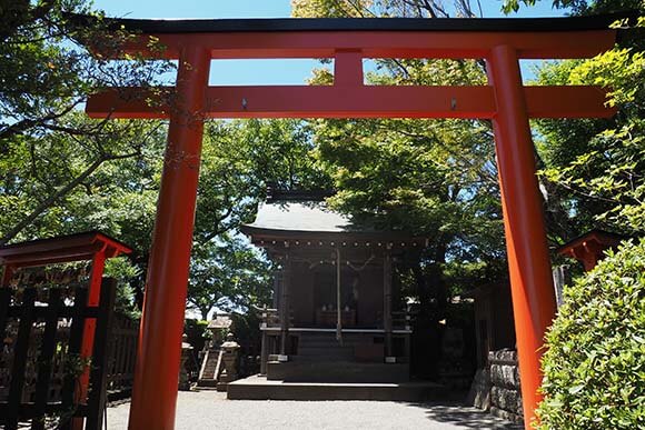 正面から見た神社の鳥居