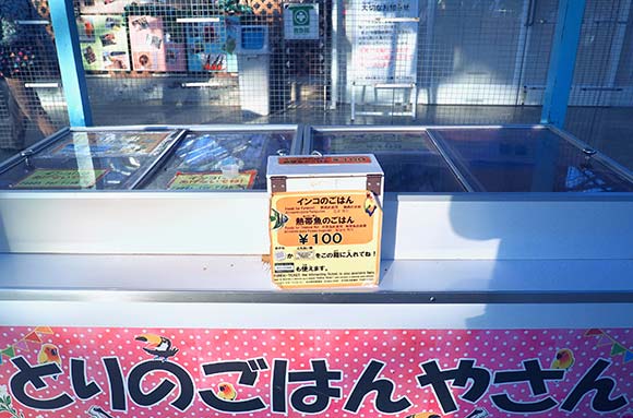 鳥用の餌の売店