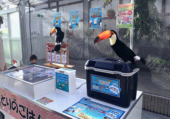 鳥の餌の売店にいる大きな鳥