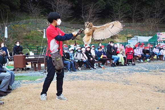 バードショーで飛んでいる鳥