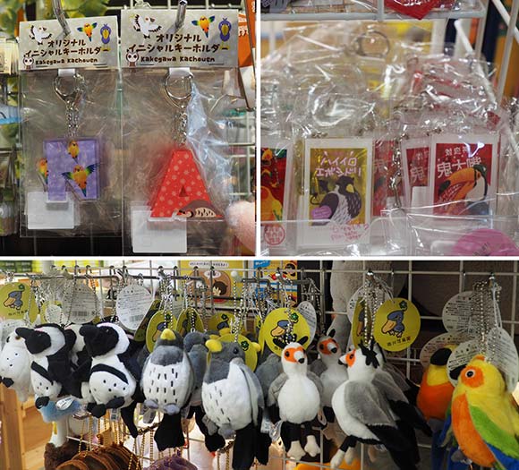 売店の様々な鳥のキーホルダー