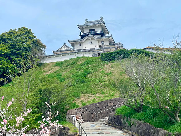 山の上に立つ城