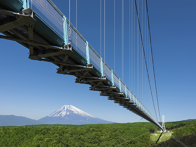 スカイウォークと富士山