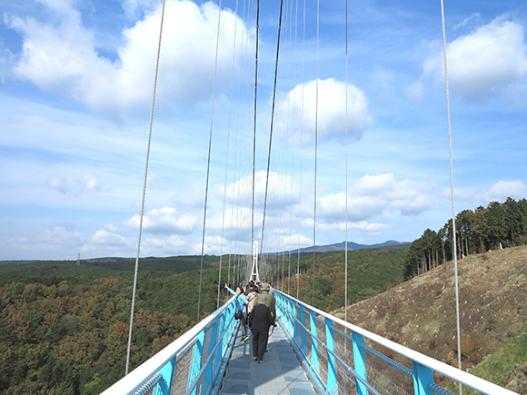 吊り橋を渡りながら見る景色