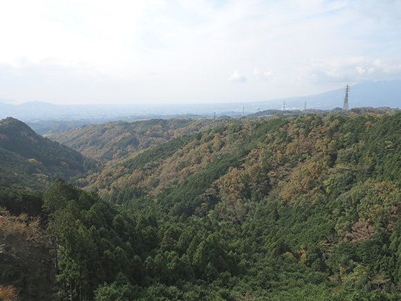 もこもこした緑に溢れる山々