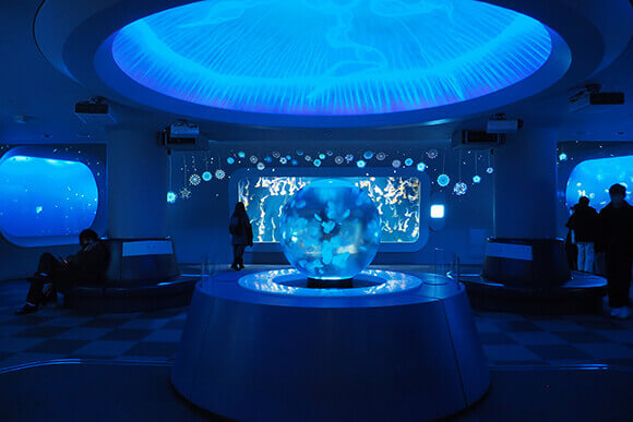 青く光るクラゲの展示室