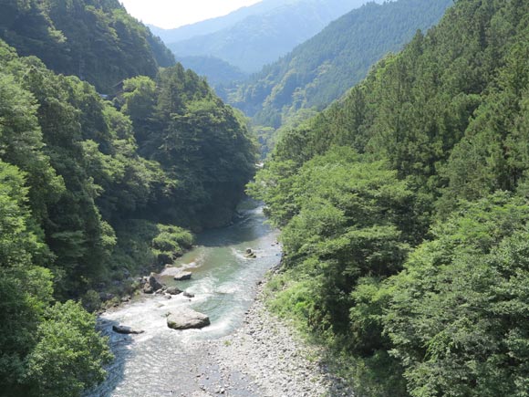 山の緑と川