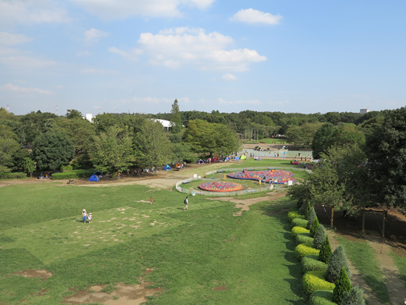 森に囲まれた大きな広場