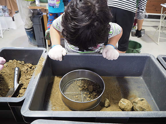 細かな石の中から化石を探す子供