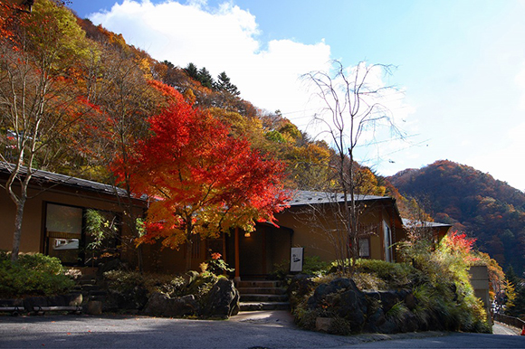 紅葉に囲まれた旅館