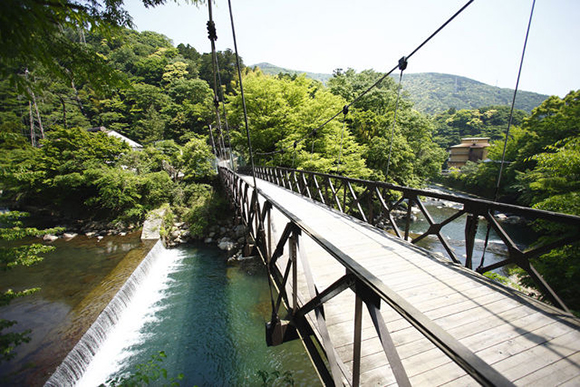 自然豊かな吊り橋