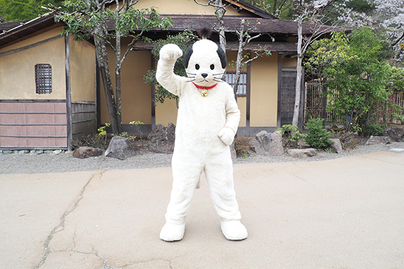 さまざまな体験に花魁道中 江戸ワンダーランド日光江戸村 を楽しむ７つの方法 免許と一緒に タイムズクラブ